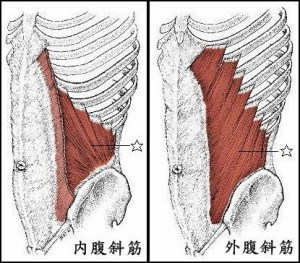 腹筋2