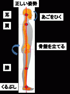 正しい姿勢